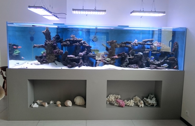 aquarium L récifal
