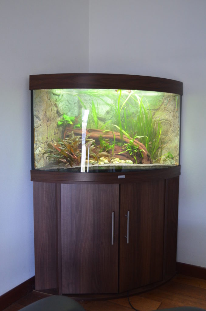 Aquarium d'angle juwel